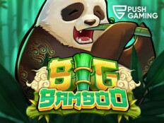 Big dollar casino no deposit bonus codes46